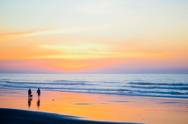 Couple with a dog walking along a beach at sunset
