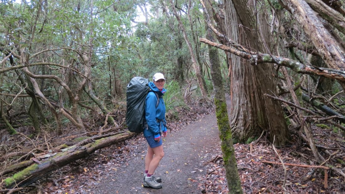 Sallyanne in the forest on the Three Capes Track