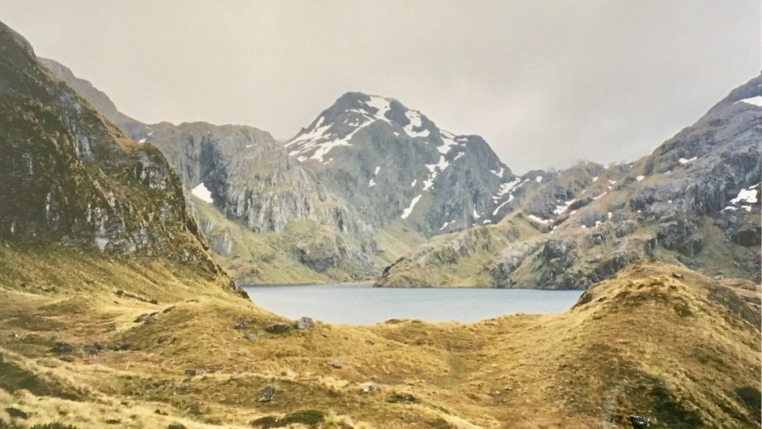 Lake Harris with button grass foreground and snow cap peaks behind