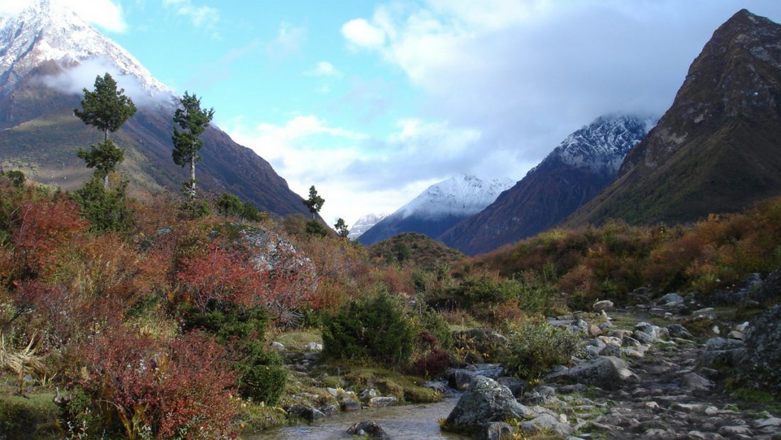 Mountain and creek image with snow capped peaks and colourful shrubs